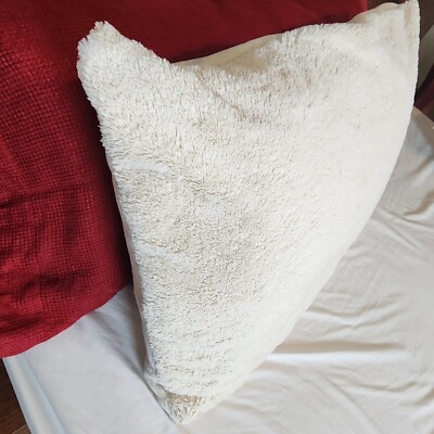 Pottery Barn Faux Fur Ivory Light Beige Std Pillow Cover 25