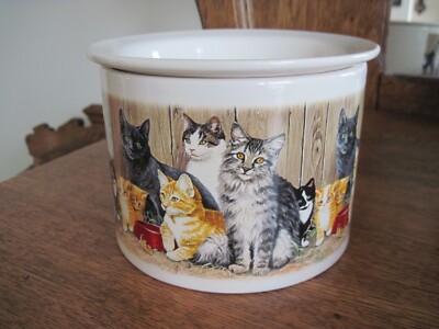 2 Piece Porcelain Cold Dip Appetizer Cooler Server with Cats-image
