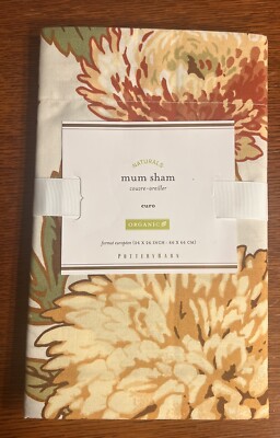 POTTERY BARN NATURALS ORGANIC COTTON EURO SHAM 26”X26” SQUARE NEW!-image
