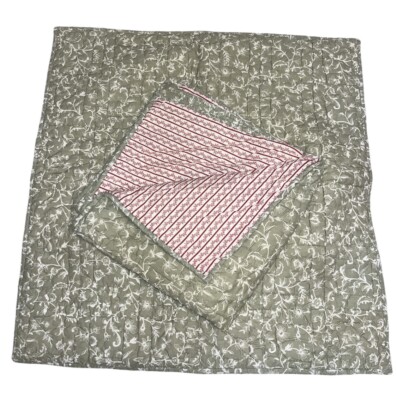 2 Pottery Barn Julia Berolzheimer Pillow Shams Sage & Red Stripes 26” x 26” EUC-image