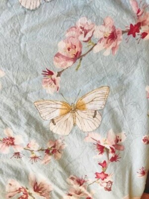 Pottery Barn Cherry Blossom Standard Sham Porcelain Blue Floral Just One Rare🦩-image