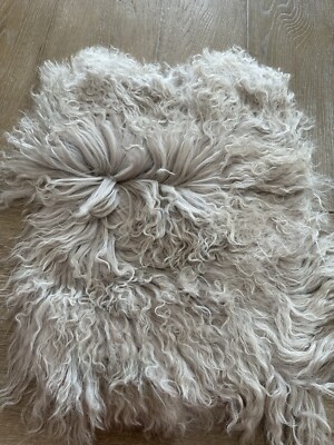 Pottery Barn Teen Mongolian Fur 12x16