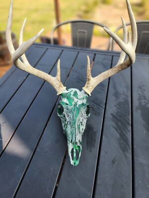 WhiteTail Deer Antlers Skull  Mount Taxidermy Hydro Dipped-image