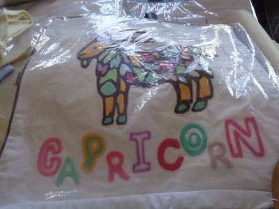 Pottery Barn Teen Astrology Capricorn Pillow cover   12