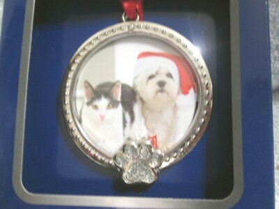 Cat Dog Pet Photo Ornament New Regent Square Studio Design-image