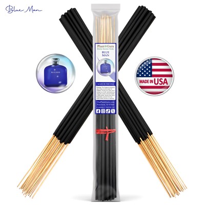 BLUE MAN Incense Sticks 19