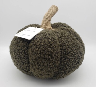 Pottery Barn Cozy Sherpa Pumpkin Pillow Loden Green  5