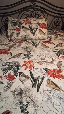 Rare! POTTERY BARN King Duvet Cover AMARYLLIS WINTER BIRDS Floral + 1 Pillowcase-image